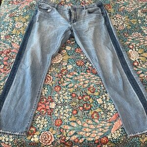 Ann Taylor Girlfriend low rise  Light and Dark Blue Straight Leg Jeans